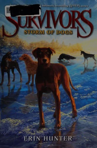 Cover image for Storm of dogs