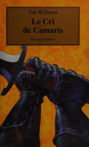 Cover image for L'Arcane des épées, tome 6 