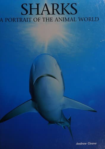 Cover image for Sharks