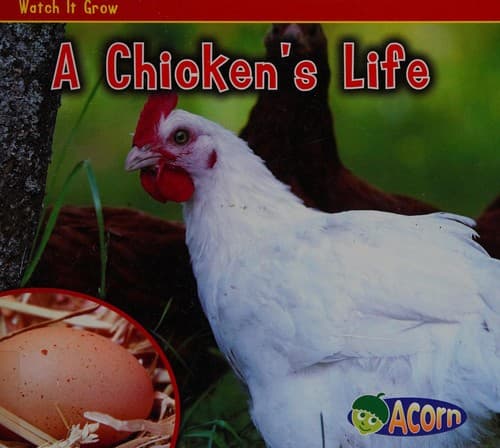 Cover image for A chicken's life