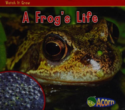 Cover image for A frog's life