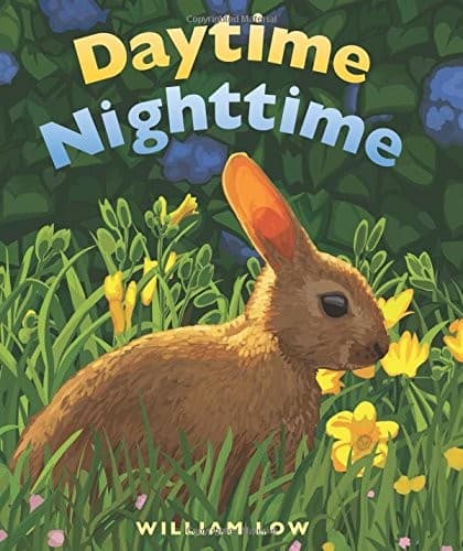 Cover image for Daytime Nighttime