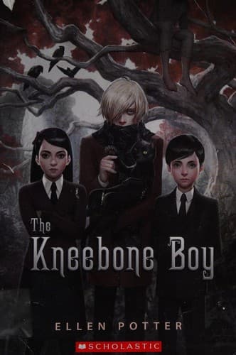 Cover image for The Kneebone boy