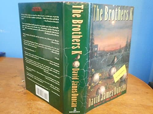 Cover image for The brothers K