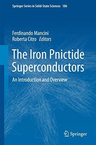 Cover image for The Iron Pnictide Superconductors