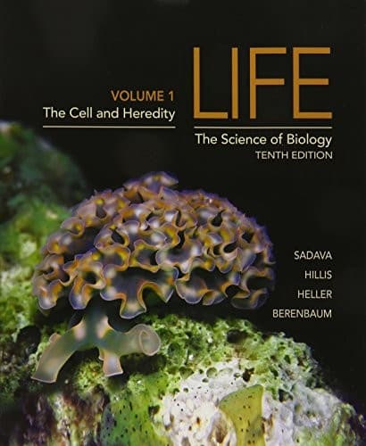 Cover image for Life  & LaunchPad 6 month access card