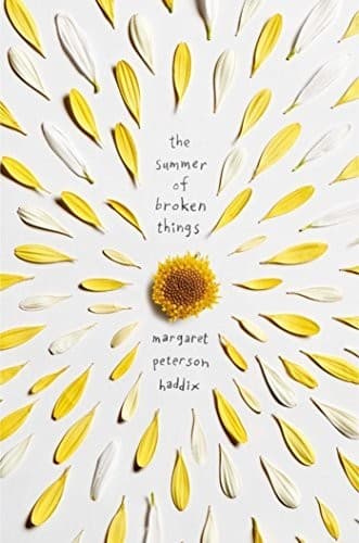 Cover image for Summer of broken things