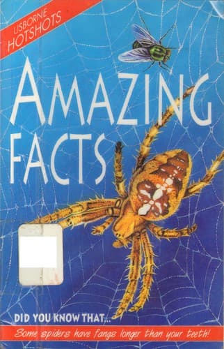 Cover image for Amazing Facts