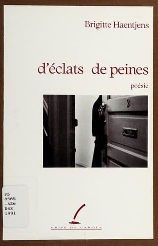 Cover image for D'éclats de peines