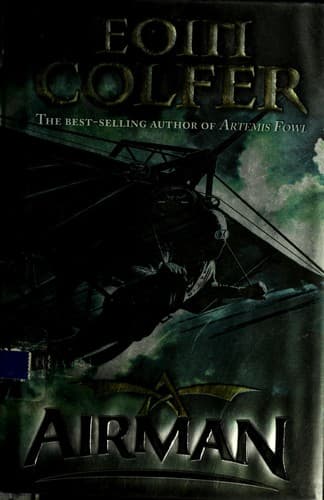 Cover image for Airman
