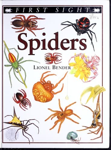 Cover image for Spiders (First sight)