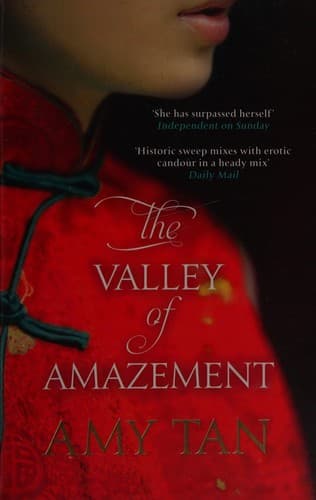 Cover image for The valley of amazement
