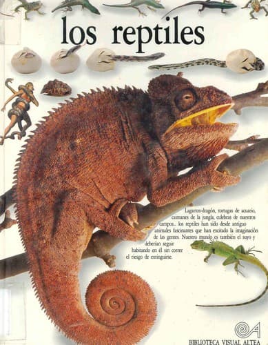 Cover image for Los Reptiles