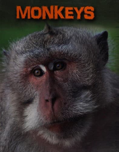 Cover image for Monkeys