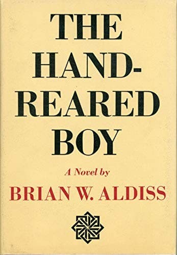Cover image for The hand-reared boy