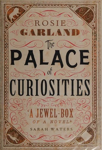 Cover image for The palace of curiosities