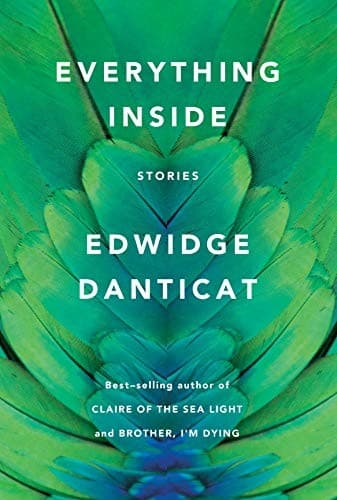 Cover image for Everything Inside