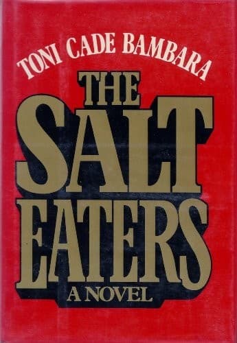 Cover image for The salt eaters