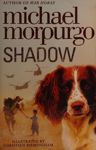 Cover image for Shadow