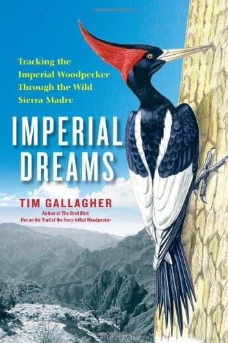 Imperial Dreams