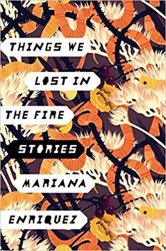 Cover image for Things We Lost in the Fire