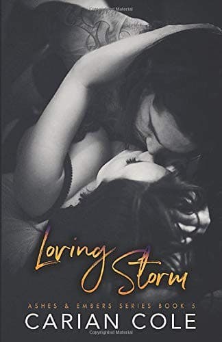 Cover image for Loving Storm