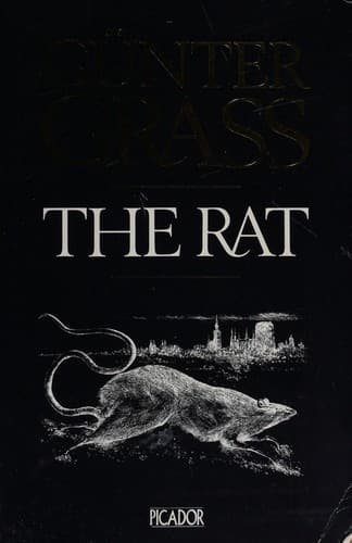 Cover image for The rat
