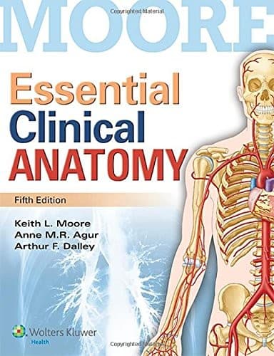 Cover image for Essential Clinical Anatomy