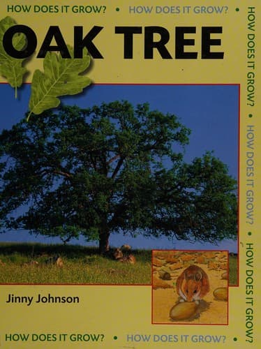 Cover image for Oak tree