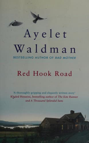 Cover image for Red Hook Road