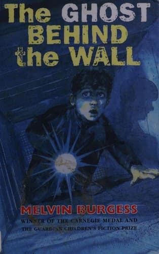 Cover image for The ghost behind the wall