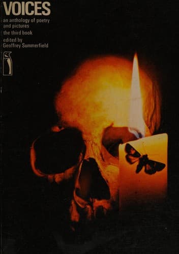 Cover image for Voices
