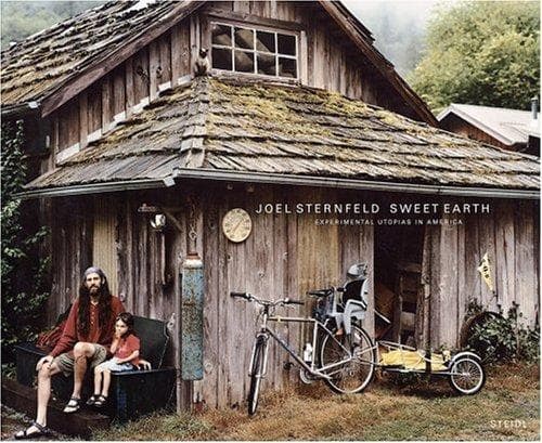 Cover image for Joel Sternfeld