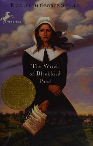 Cover image for The witch of Blackbird Pond