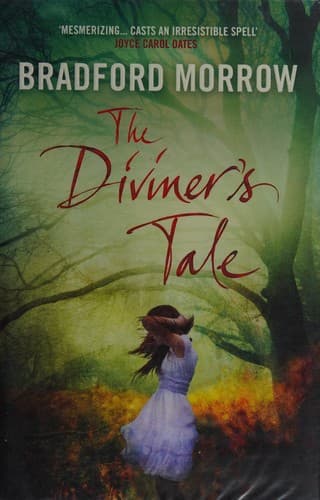 Cover image for The diviner's tale