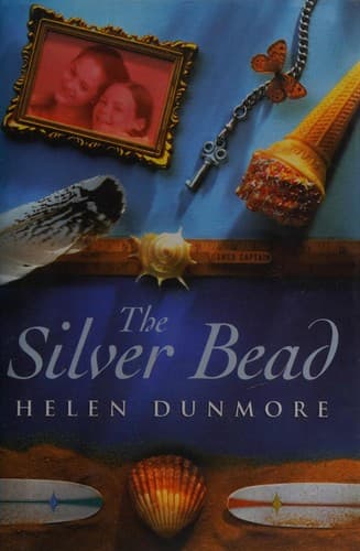 Cover image for The Silver Bead