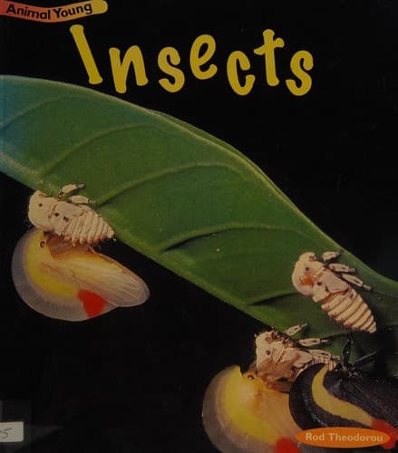 Cover image for Insects