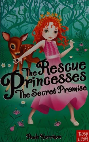 Cover image for The secret promise