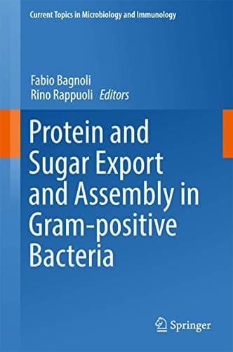 Cover image for Protein and Sugar Export and Assembly in Gram-positive Bacteria