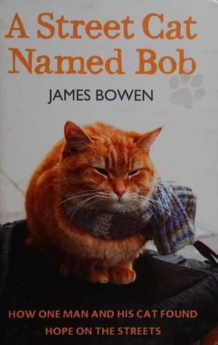 Cover image for A street cat named Bob
