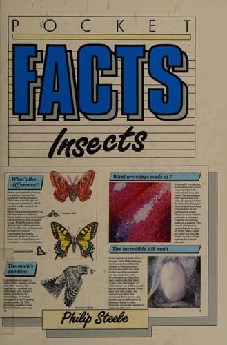 Cover image for Insects