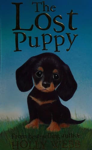 Cover image for The lost puppy