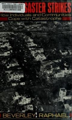 Cover image for When disaster strikes