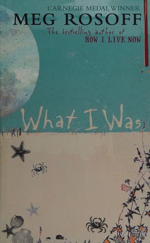 Cover image for What I was