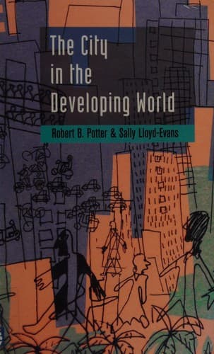 Cover image for The city in the developing world