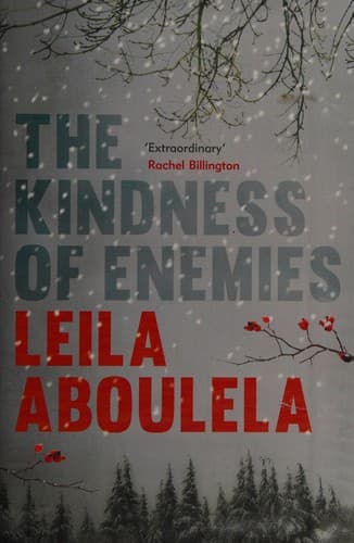 Cover image for The kindness of enemies