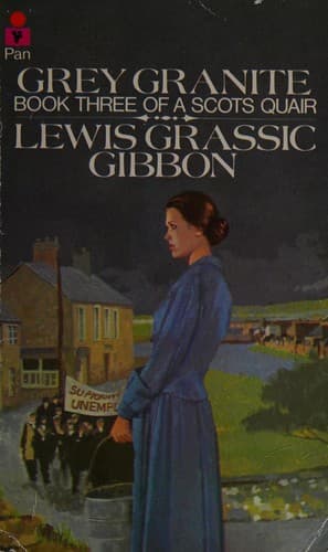Cover image for Grey granite