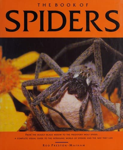 Cover image for The book of spiders.