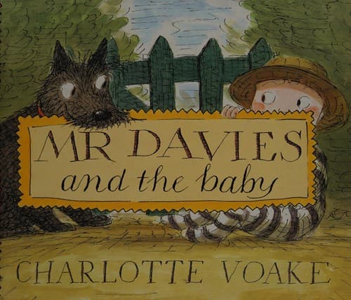 Cover image for Mr Davies and the baby