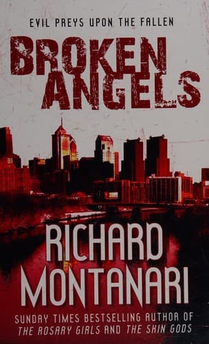 Cover image for Broken angels